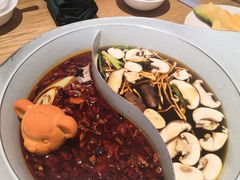 -青瓷火锅料理(西单大悦城店)