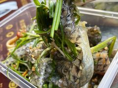 -无影脚佛山陈氏盲公丸始创店(飞鸿街店)