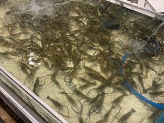 -芭提雅Amporn Seafood自助餐厅