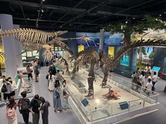 -国家自然博物馆