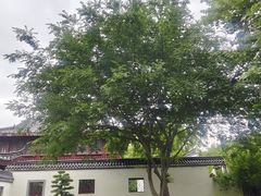 -堤角公园