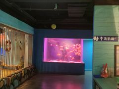 -常州海昌海洋探索馆