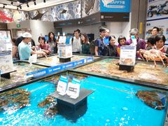 水产区-盒马鲜生(皇庭广场店)