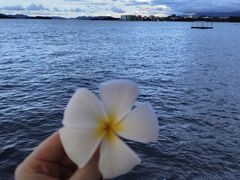 -Sunset Bar(丹绒亚路香格里拉店)