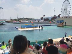 -秦皇岛乐岛海洋王国