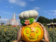 -上海迪士尼度假区