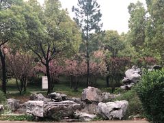 -金匮公园-南入口停车场