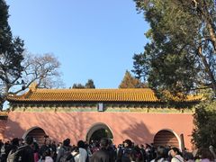 -灵谷景区
