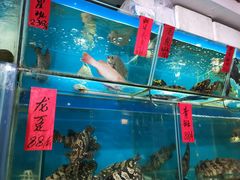 水产区-海大大蒸汽海鲜餐厅·粤菜·特色小炒(欢乐颂店)