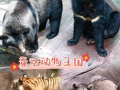 -长鹿旅游休博园