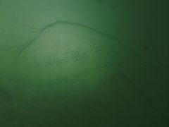 -白鹤梁水下博物馆