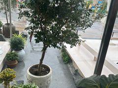 -喜茶(珠海华发商都店)