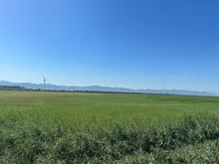 -野鸭湖国家湿地公园