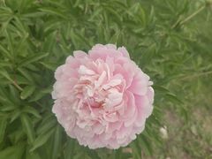 -长春世界雕塑园