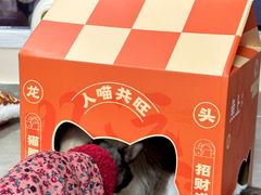 -鱼上·烤鱼(万象城店)