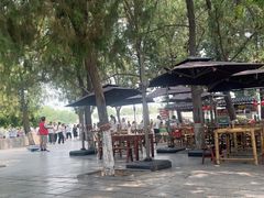 -赵州桥景区