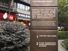 -泡桐树街