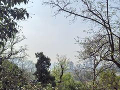 -龟山风景区-龟山电视塔