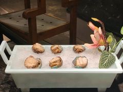 鲜活鲍鱼仔-景笙毋米粥底火锅(20年老字号)
