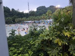 -重庆海昌加勒比海水世界