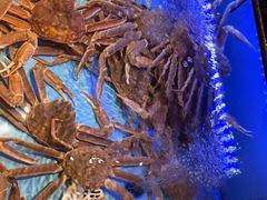 -阿伟海鲜楼·福建菜(延寿店)