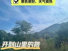 -老象峰