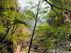 -九龙潭景区