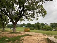 -雨花胜境