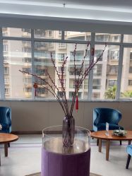 -厦门美莱整形美容医院