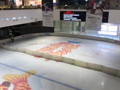 -TheRink大零溜冰场(IFS国金中心店)