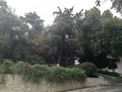 -北极阁公园
