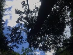 -中岜朗天坑(CV GEO INDO RAYA)