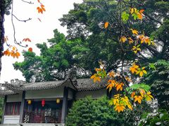 -荔湾湖公园