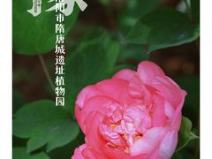 -洛阳市隋唐城遗址植物园