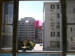 -北京医院