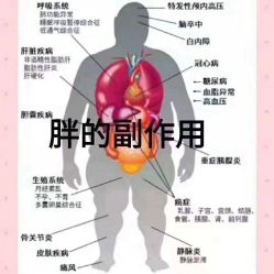 -慕拉美甲美睫皮肤管理
