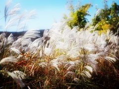 -龙洞风景区-藏龙涧