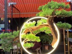 -喜上喜鸡煲翅(吉大店)