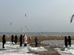 -老虎石海上公园