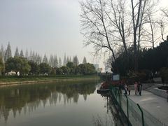-嘉定紫藤园