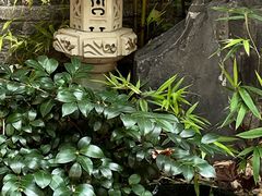 -古今茶语·峨眉山有机茶体验馆