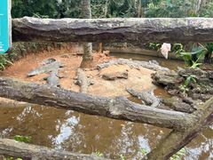 -海南热带野生动植物园