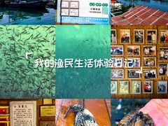 -蓝湾碧波·老字号·疍家非遗海上餐厅