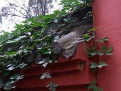 -洛阳白马寺