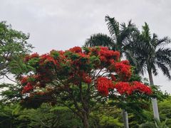 -白鹭洲公园