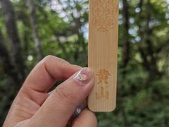 -黄山风景区