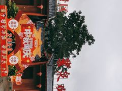 -靖西鹅泉风景区