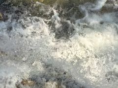 -陕西省红河谷森林公园