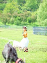 点击看大图 -YUEYAR PHOTO摄影