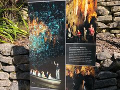 -怀托摩萤火虫洞